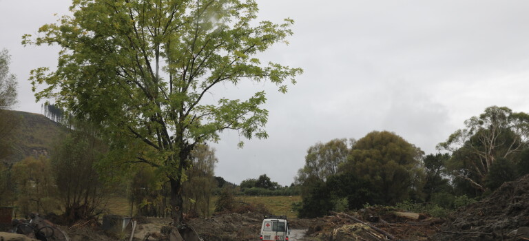 Cyclone Gabrielle-164A0502