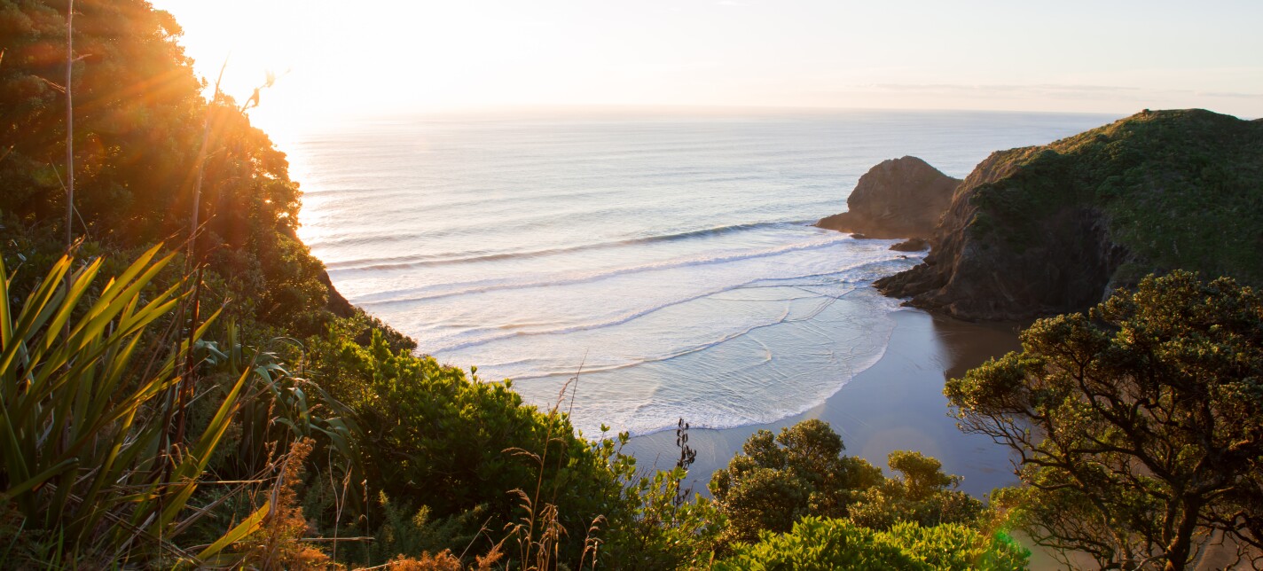 An aerial view of a New Zealand beach